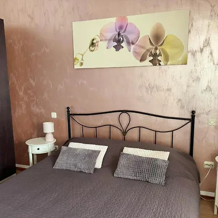 Apartment Istrian Stone Built House Ana Rita Kanfanar